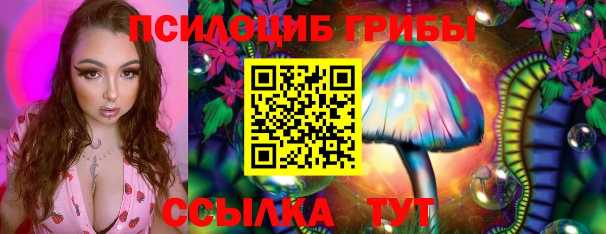 Псилоцибиновые грибы GOLDEN TEACHER Шатура