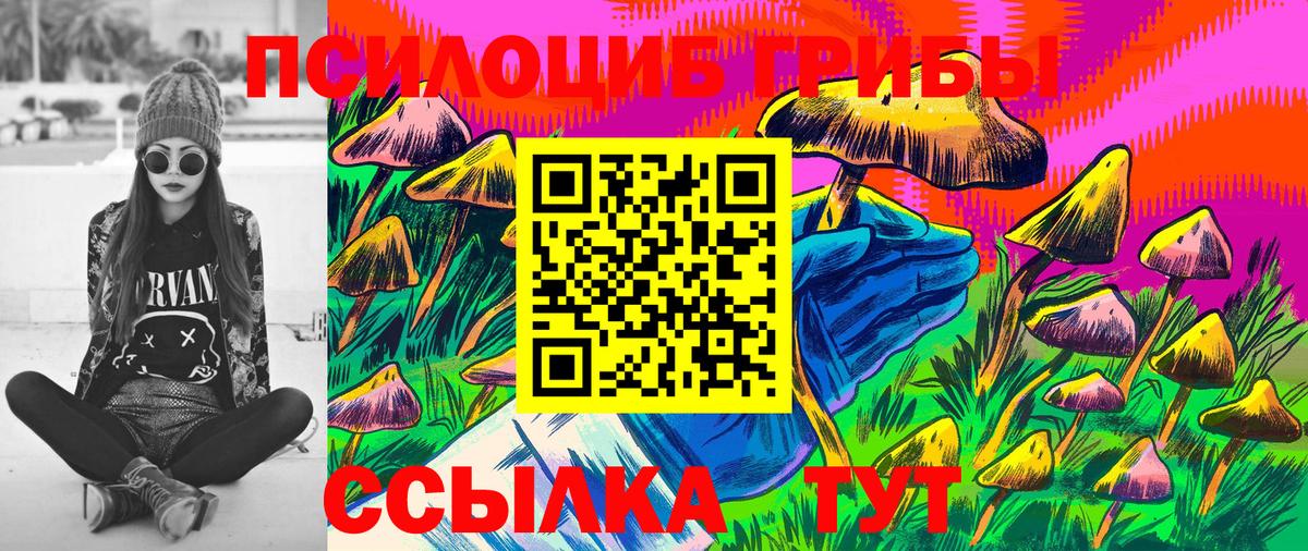 Галлюциногенные грибы GOLDEN TEACHER  купить закладку  Шатура  Галлюциногенные грибы мухоморы  Вход с VPN 
