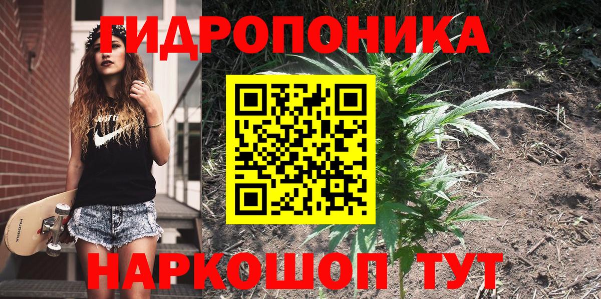 Бошки Шишки MAZAR Шатура